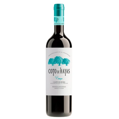Coto de Hayas Crianza 2019