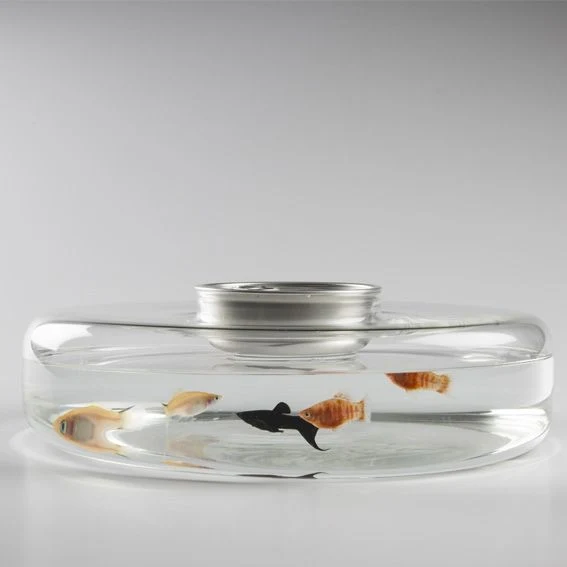 Soporte de cristal "Mise en scene". ø28 x 8,5 cm - 1 Ud.