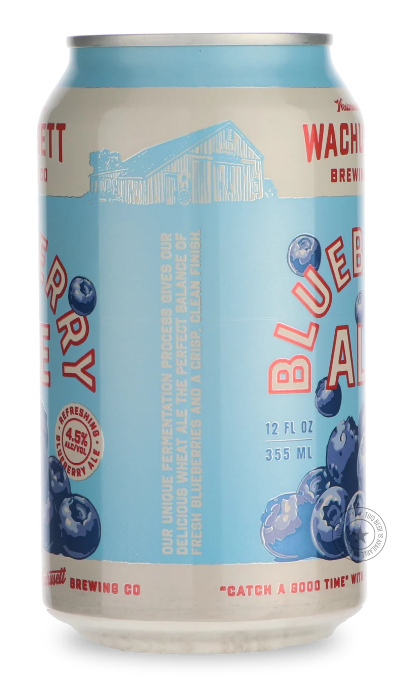 Blueberry Ale