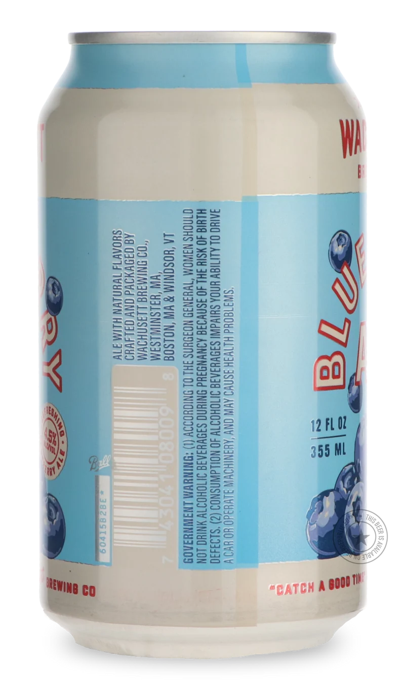 Blueberry Ale