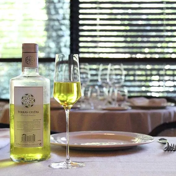 Copa Digestif cristal Zalto. 140 ml H 21 cm - 1 Ud.