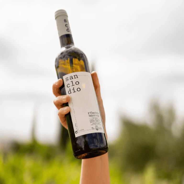 Sanclodio, 1 botella 75 cl