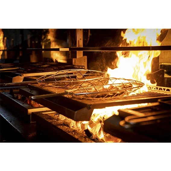 Parrilla rodaballo Josper. 45 x 30 cm - 1 Ud.