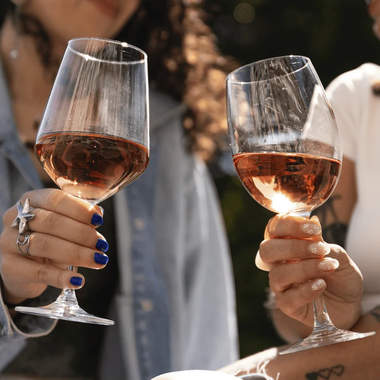 Dominio del Pidio Rosado 2023, 1 botella de 75 cl