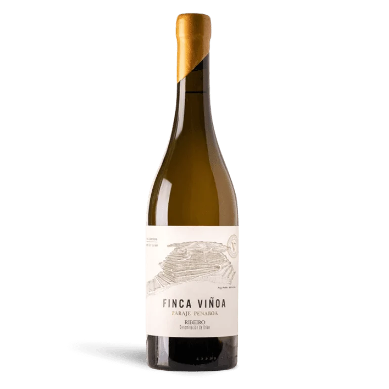 Finca Viñoa Paraje Penaboa 2020, 1 botella de 75 cl
