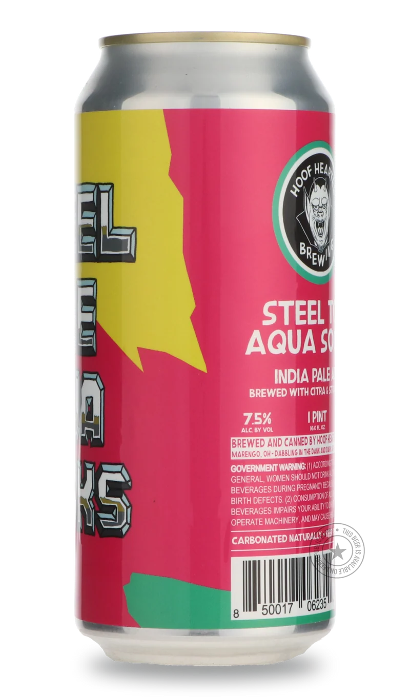 Steel Toe Aqua Socks
