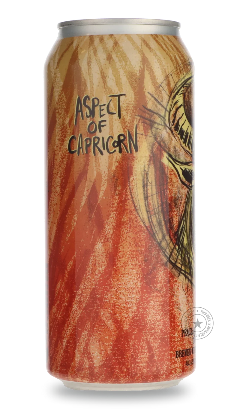 Aspect of Capricorn