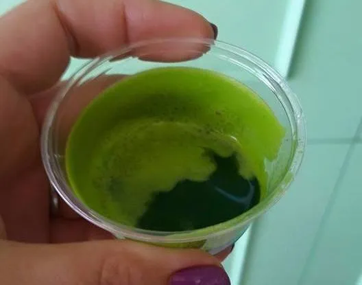 Shot de Pasto de Trigo