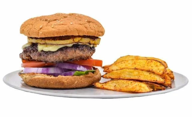 Teriyaki Burger