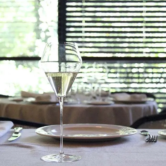 Copa vino dulce cristal Zalto 32 cl - 1 Ud