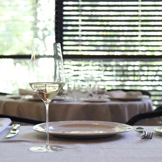 Copa vino blanco cristal Zalto 40 cl - 1 Ud