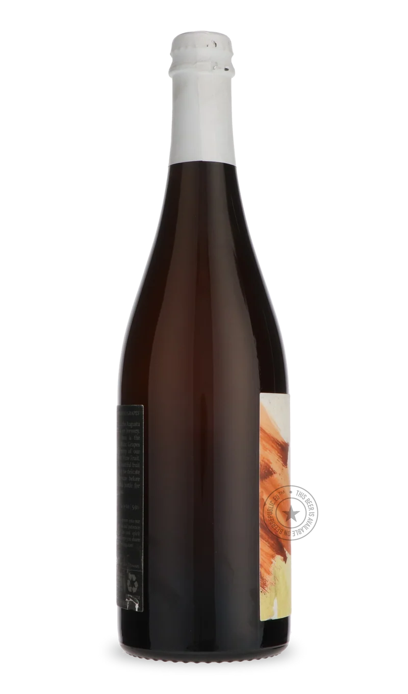 Loam (Vidal Blanc Orange Wine Process 2023)