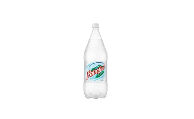 Peñafiel Agua Mineral 2 Lt