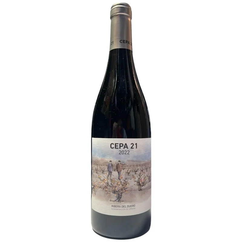 CEPA 21 RIBERA DEL DUERO 75CL
