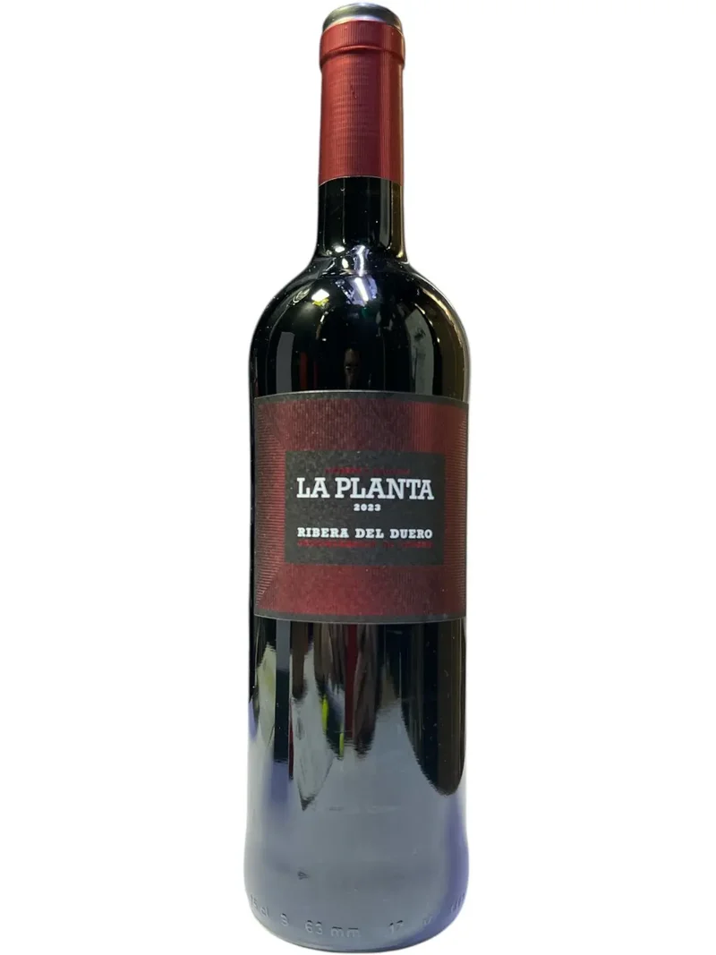 LA PLANTA RIBERA DEL DUERO 2023